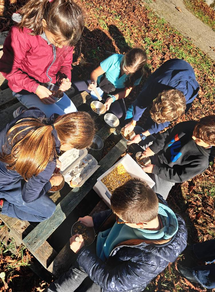 Atelier des p'tits curieux : "Immersion à la ferme : les secrets des insectes pollinisateurs, les abeilles mais pas que !!", Saint-Germain-de-la-Rivière - photo 2