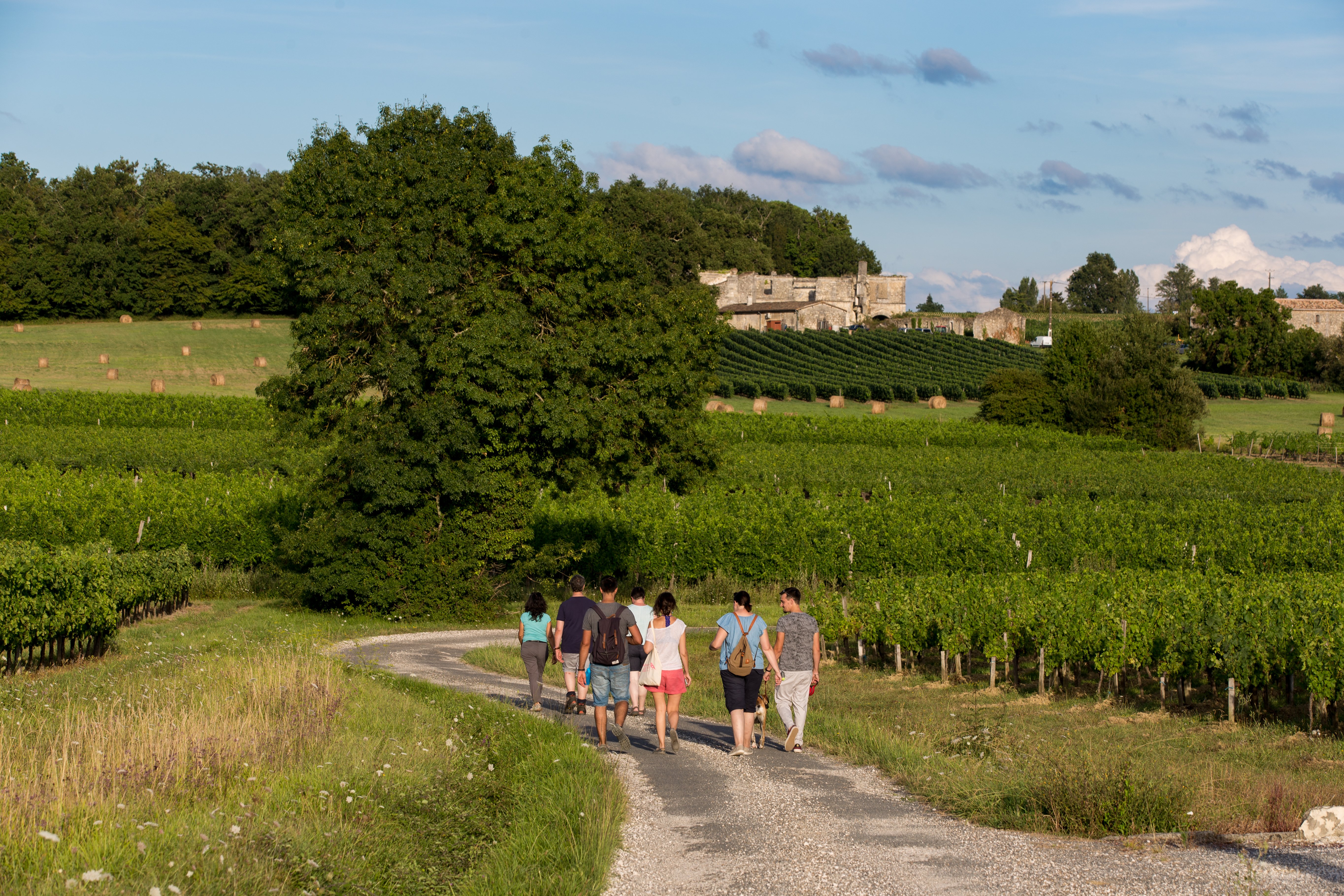 Les Rando-Tapas du Château Boutinet à Villegouge, Villegouge - photo 3