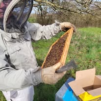 Les miels de la forge - photo 3