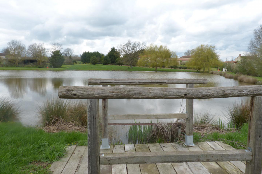 Le Gîte le Haut Preuil, Val en Vignes - photo 3