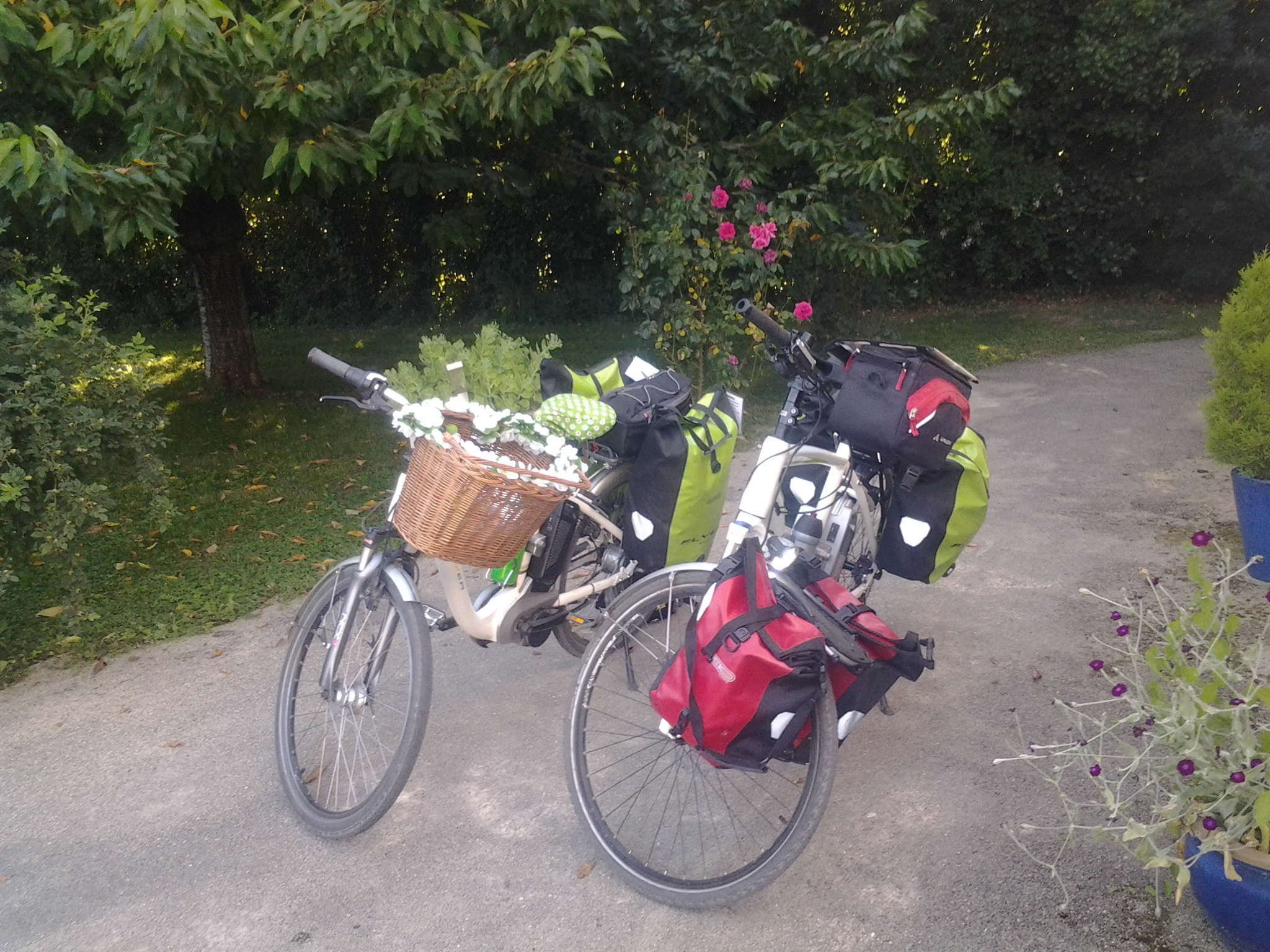 Les Roseaux, Coulon - photo 16