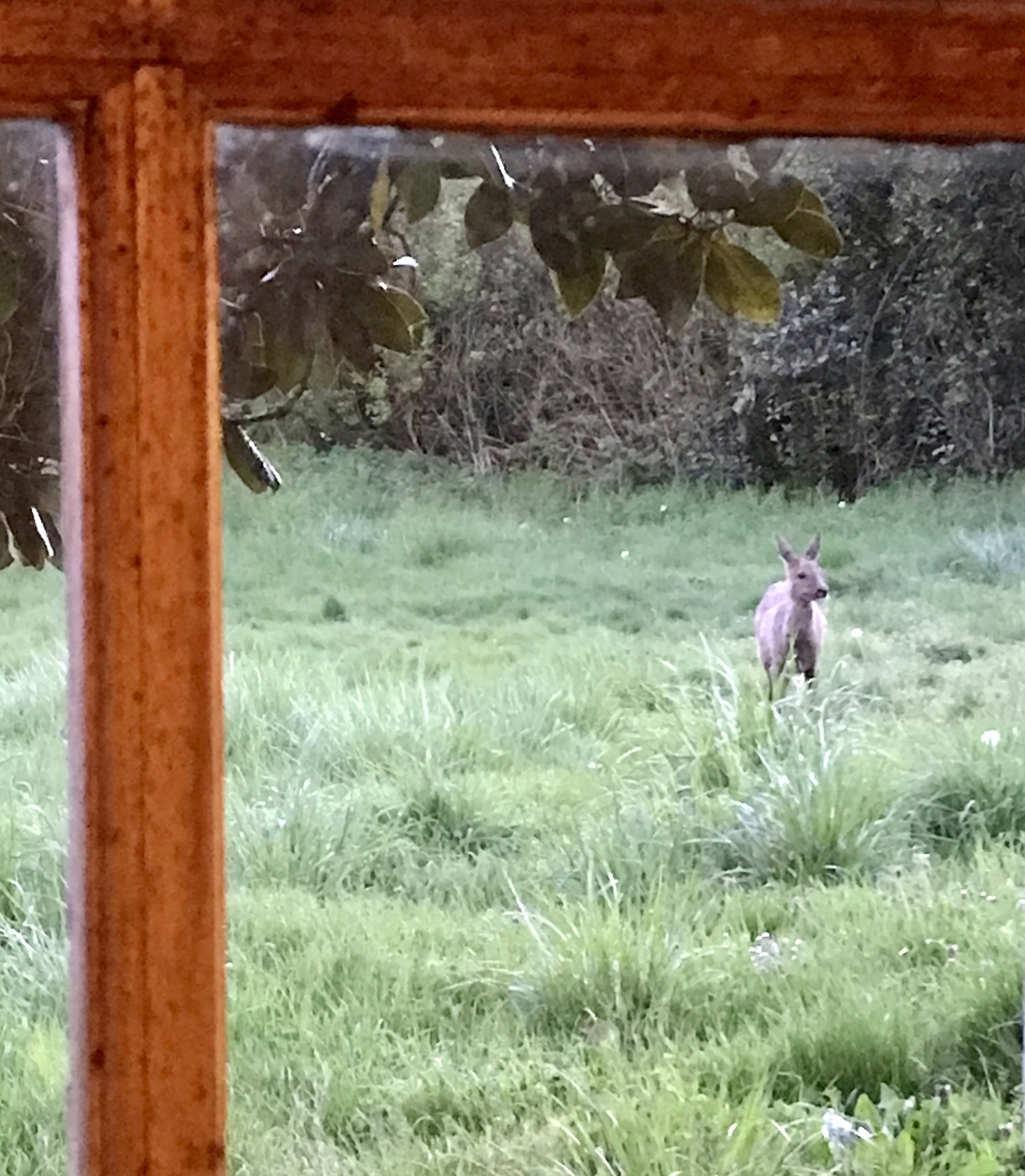 Gîte En Bas Cool La Vienne, Queaux - photo 2