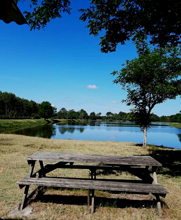 Pêche à l'étang de la Levade