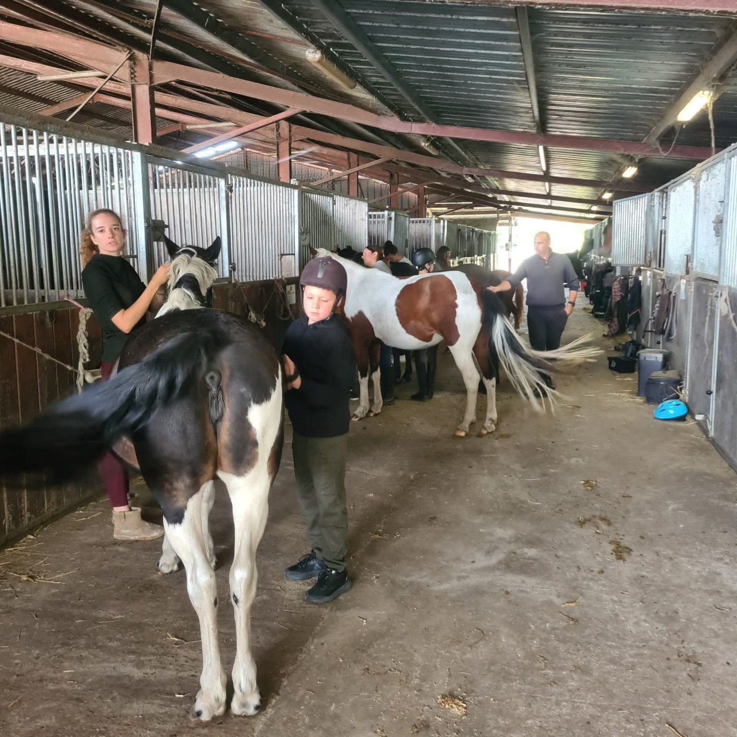 Haras de Croix d'Hins