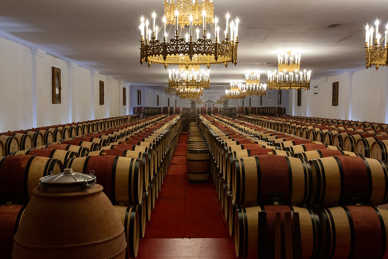 Aventure entre vignes et architecture