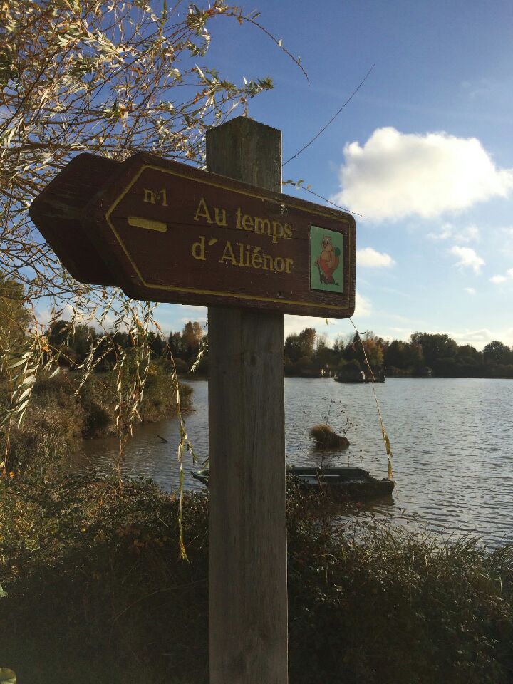 Au Temps D'Aliénor / Boucle 12