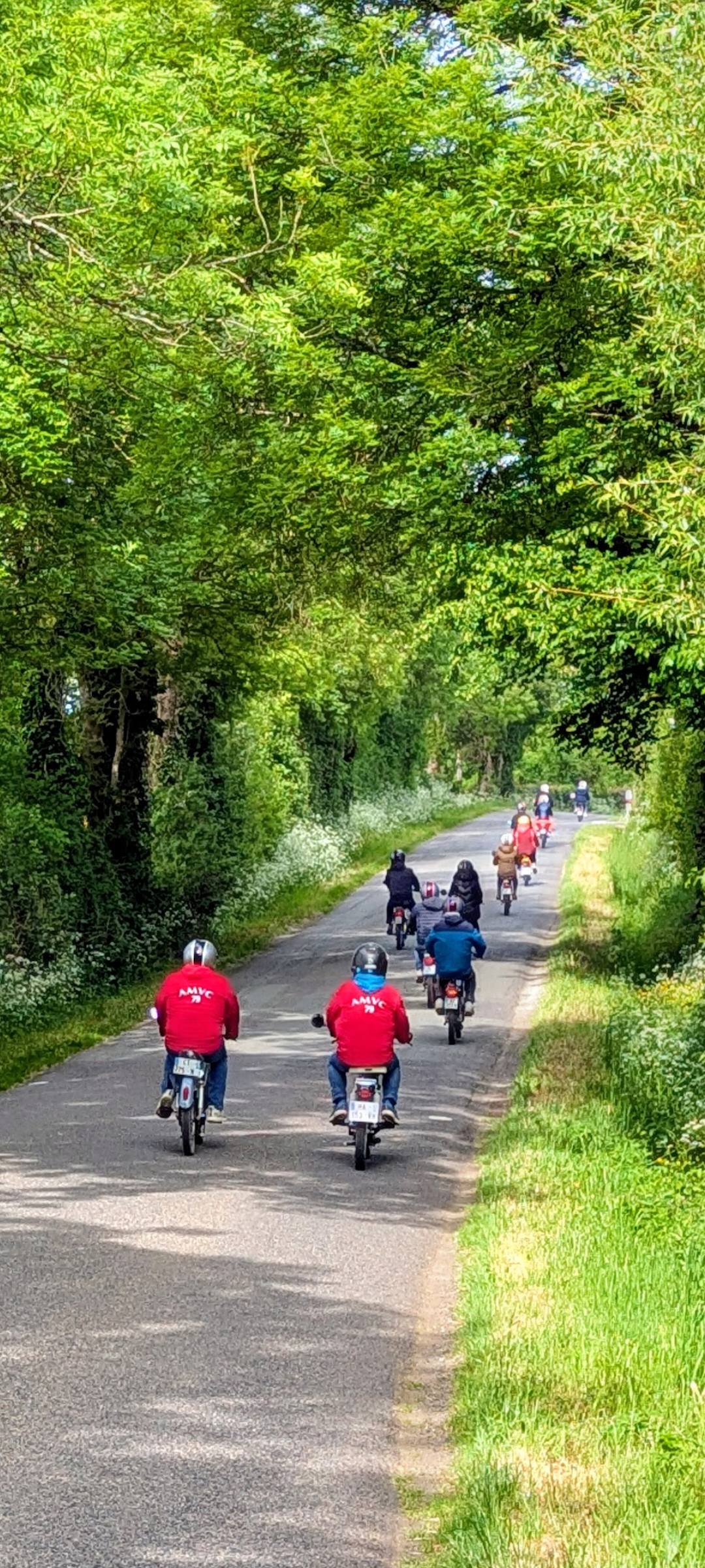 Les Mobs de l'Ouest — photo 2