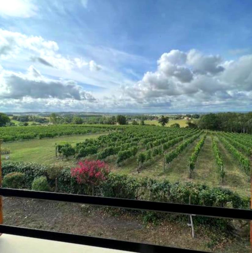 Gîte de Pagalot, Virazeil - photo 17