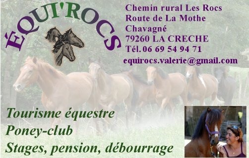 Centre équestre Equi'Rocs, La Crèche - photo 3