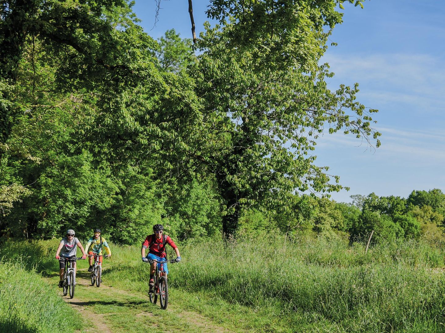 Higuères-Souye : entre Luy et Souye à VTT - photo 4