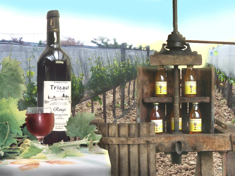 Les Trésors des Côteaux