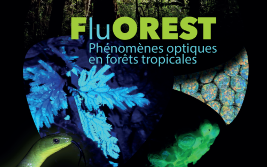 Image de présentation du lieu