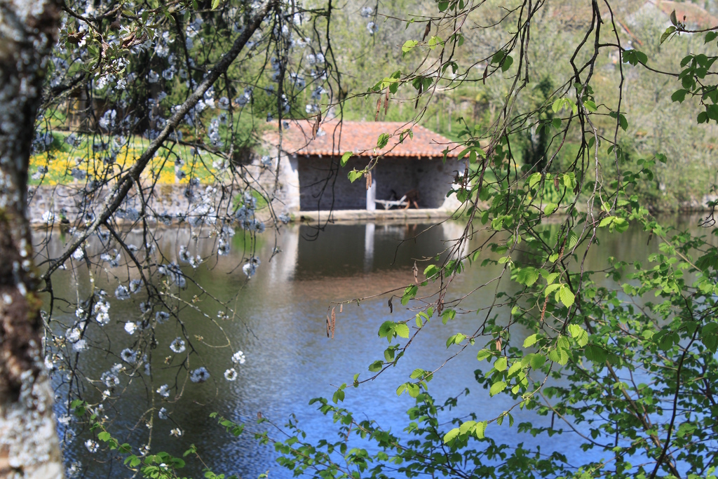 Aire de pique nique près de l'étang du petit lavoir
