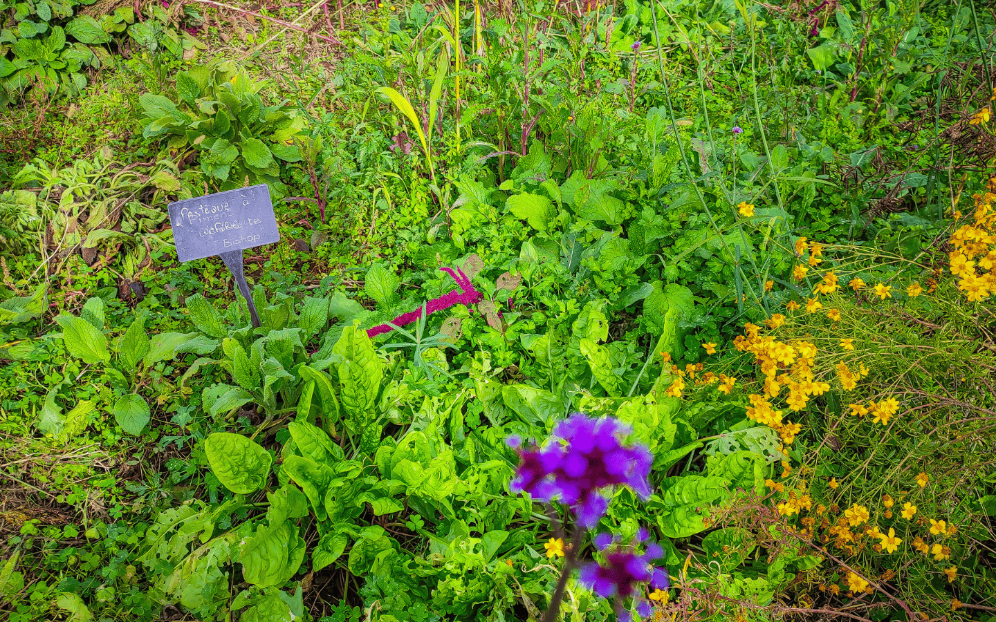 Circuit vélo 5 : les coteaux de Piétat et la voie ossaloise, Assat