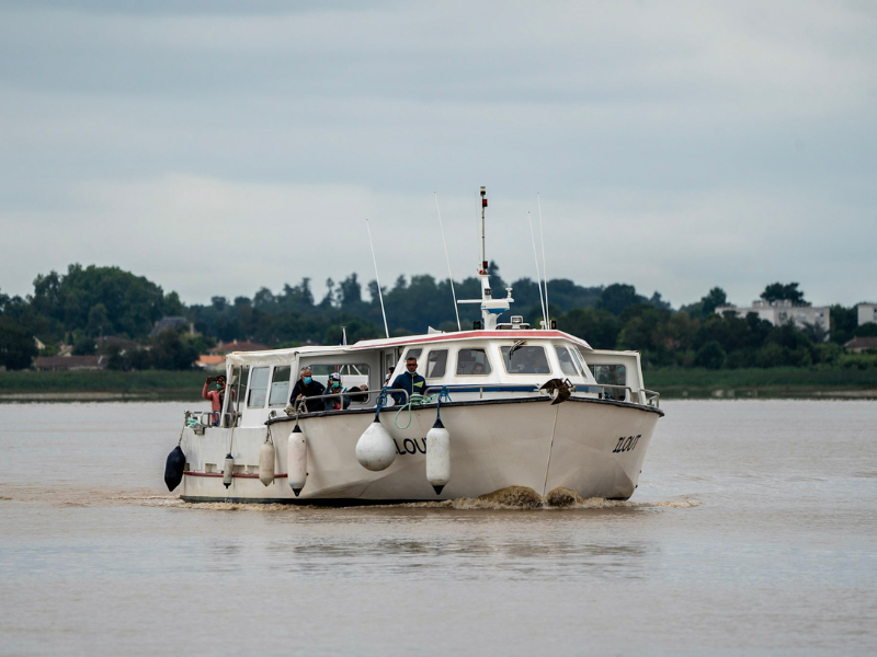 Croisière du dimanche sur l'estuaire à Terres d'Oiseaux, Braud-et-Saint-Louis - photo 4