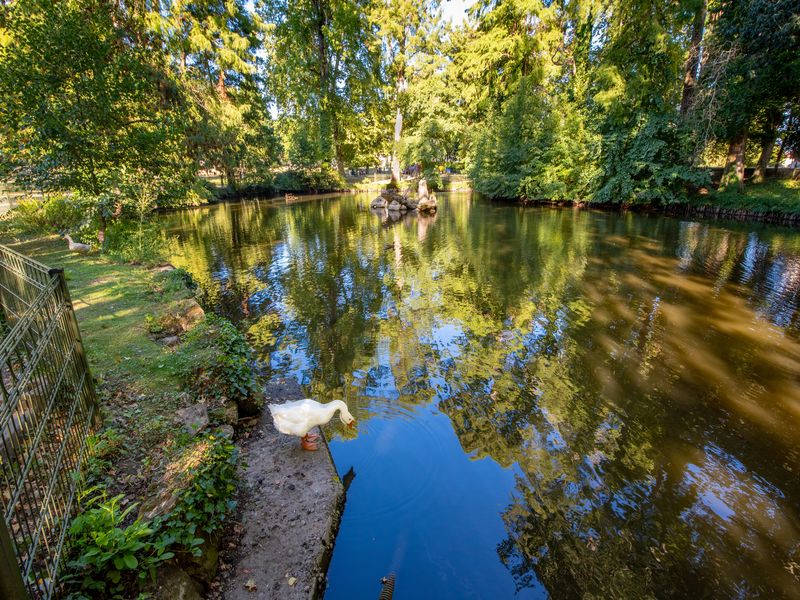 Parc de l'Epinette, Libourne - photo 3