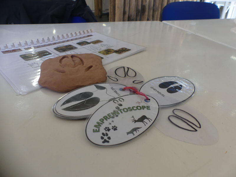 Création d'un empreintoscope à Terres d'Oiseaux, Braud-et-Saint-Louis - photo 7