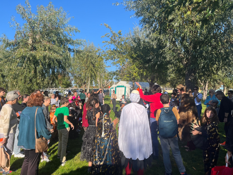 Grand jeu d'Halloween à Terres d'oiseaux, Braud-et-Saint-Louis - photo 4