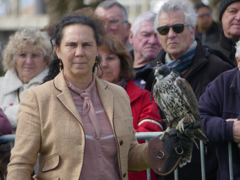 Fête des rapaces et "Spectacle de fauconnerie" à Terres d'Oiseaux, Braud-et-Saint-Louis - photo 11