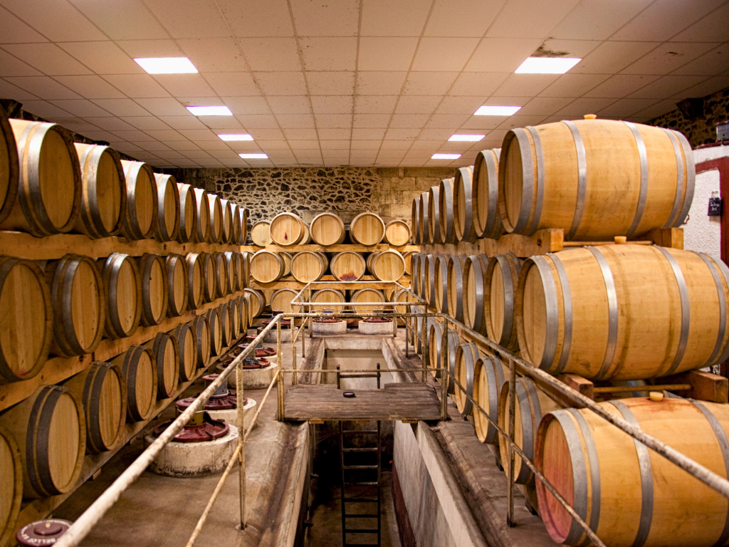 Château Fayau - Vignobles Jean Medeville — photo 2