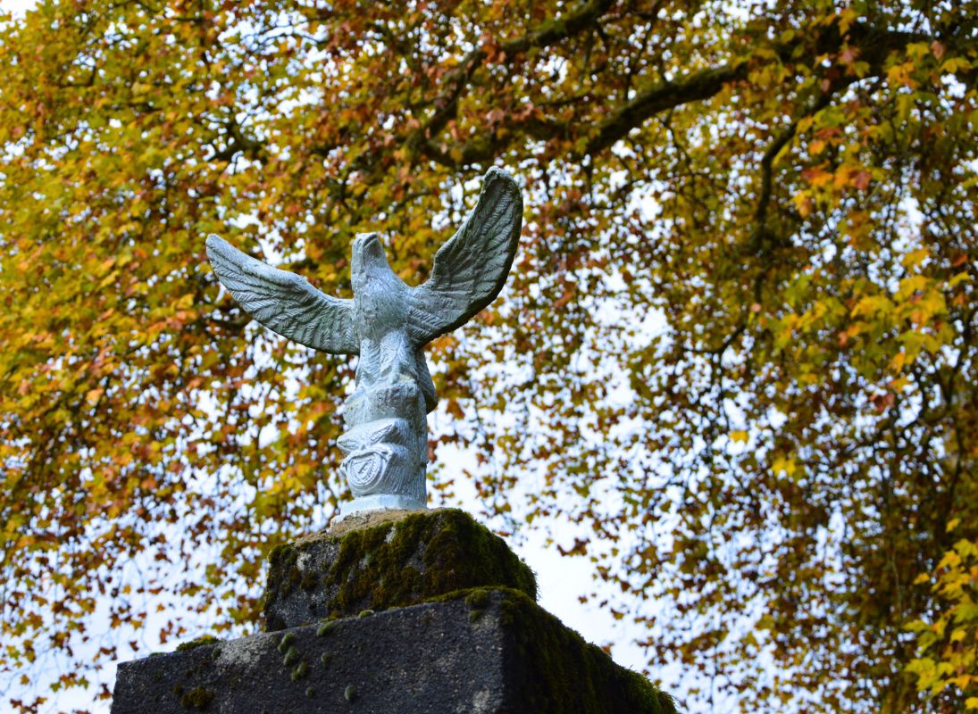 Château de Montbrun, Dournazac - photo 12