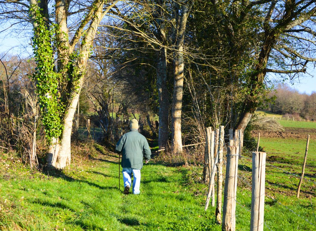 Chemin du Mas Nadaud, Pageas - photo 11