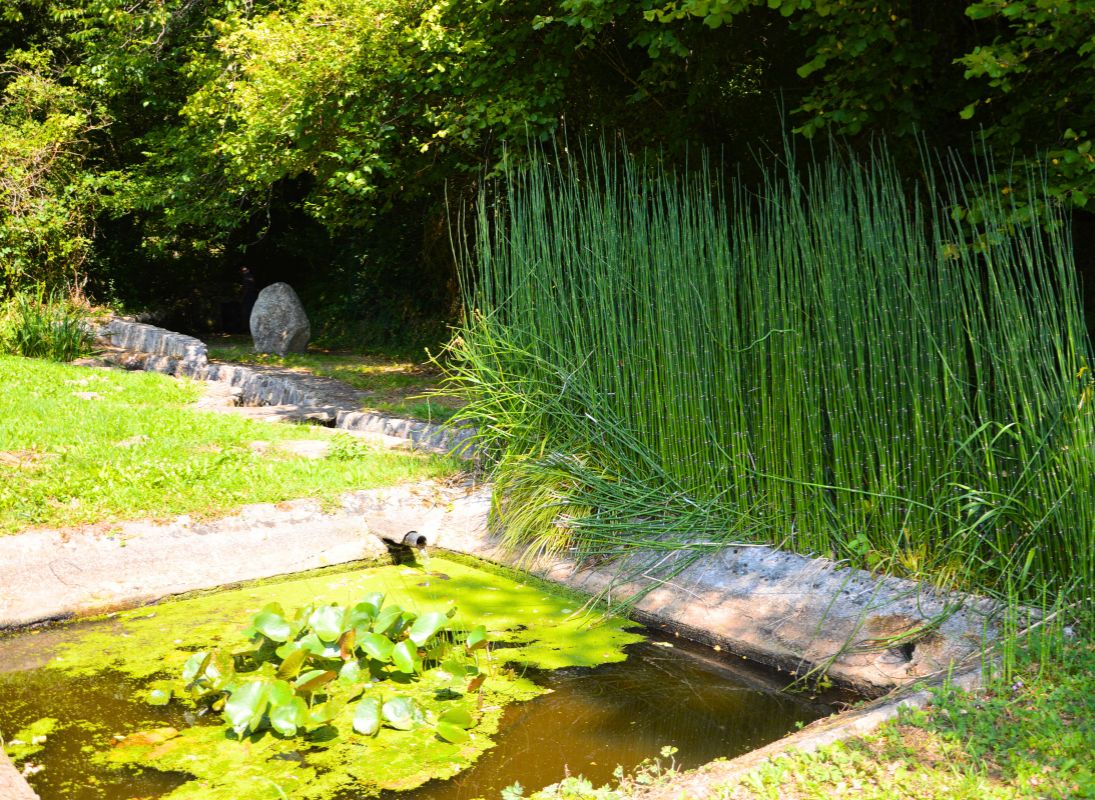 Fontaine du Vieux Saint-Hilaire, Saint-Hilaire-les-Places - photo 6