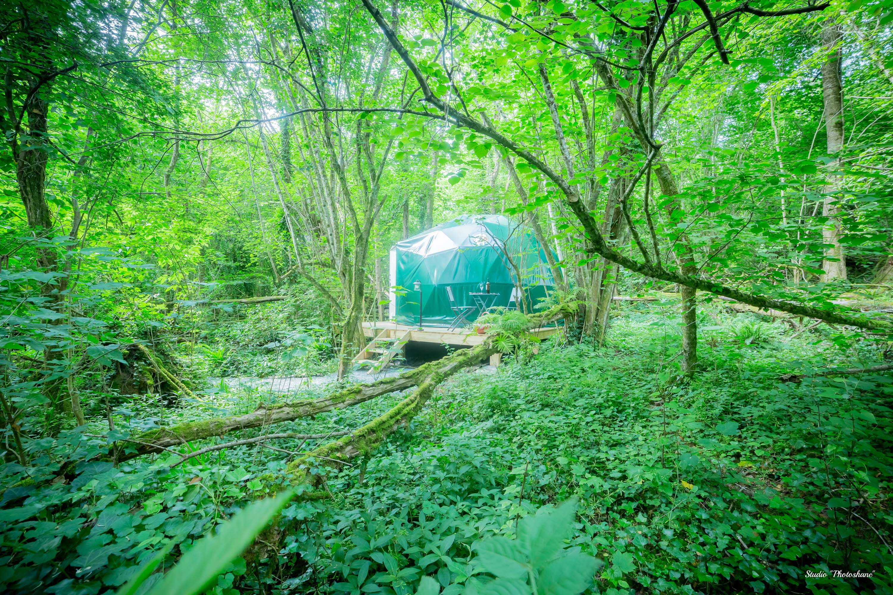 Domaine Jean-Got : chambres insolites, Lugaignac - photo 12