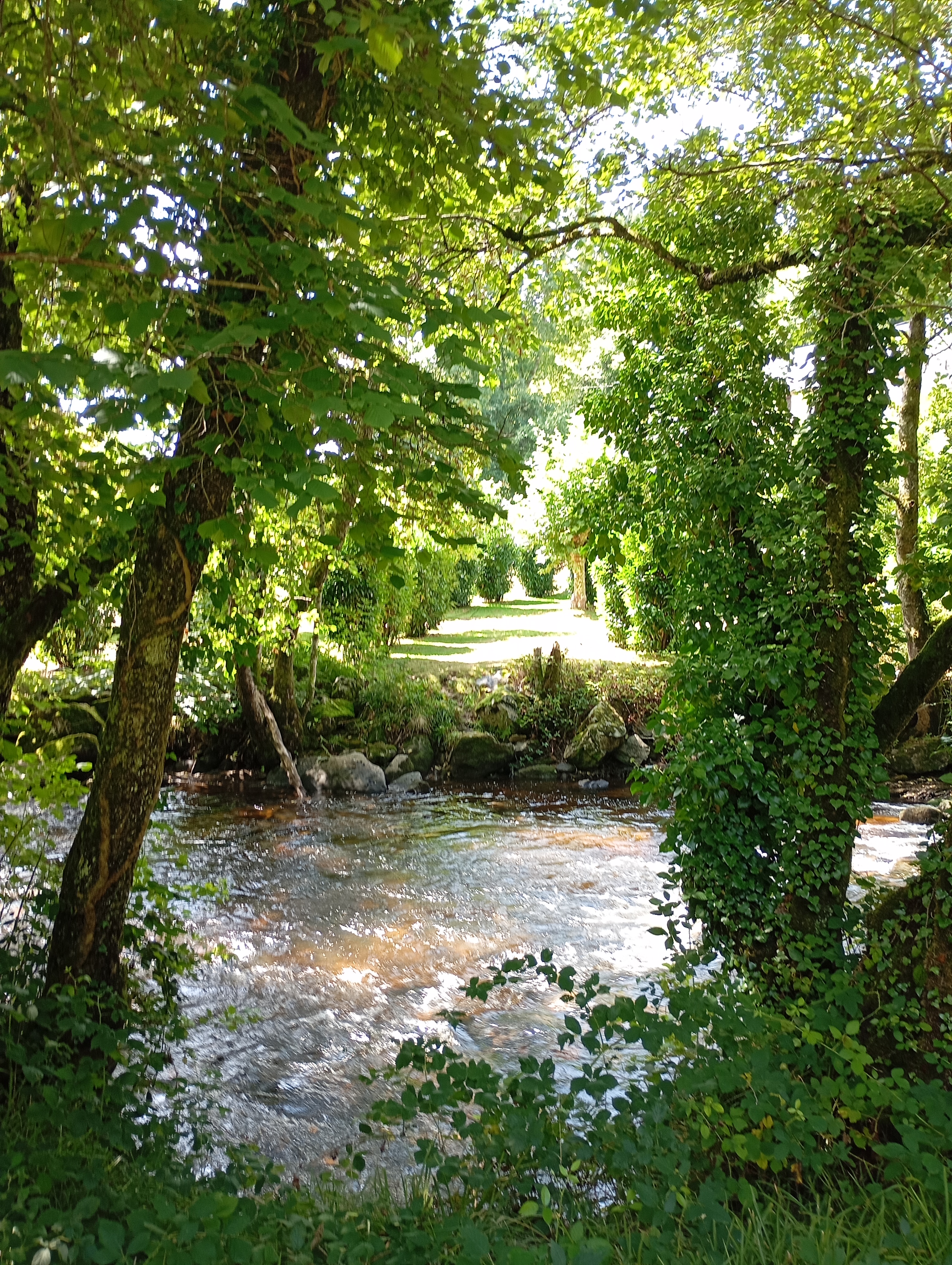 Le Corrèze, Corrèze - photo 13