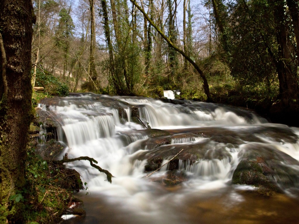 Appartement des Sources de la Chabanne, Saint-Hilaire-les-Courbes - photo 10