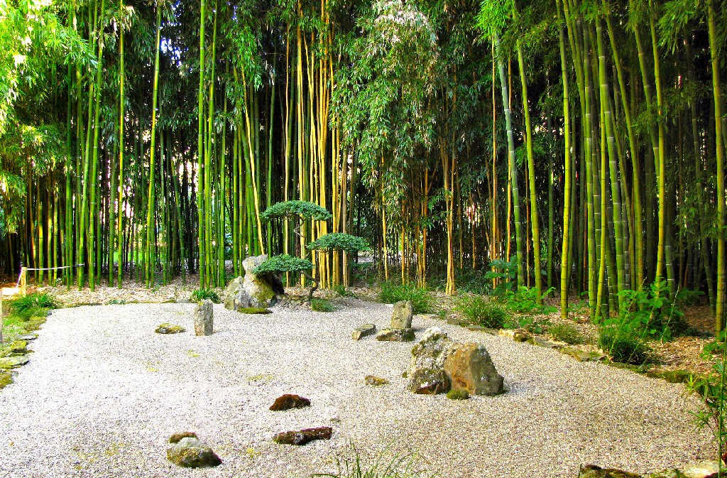 Jardin les Bambous de Planbuisson, Le Buisson-de-Cadouin - photo 7