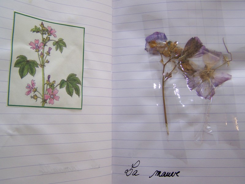 Ateliers au Domaine des Chaulnes - photo 3