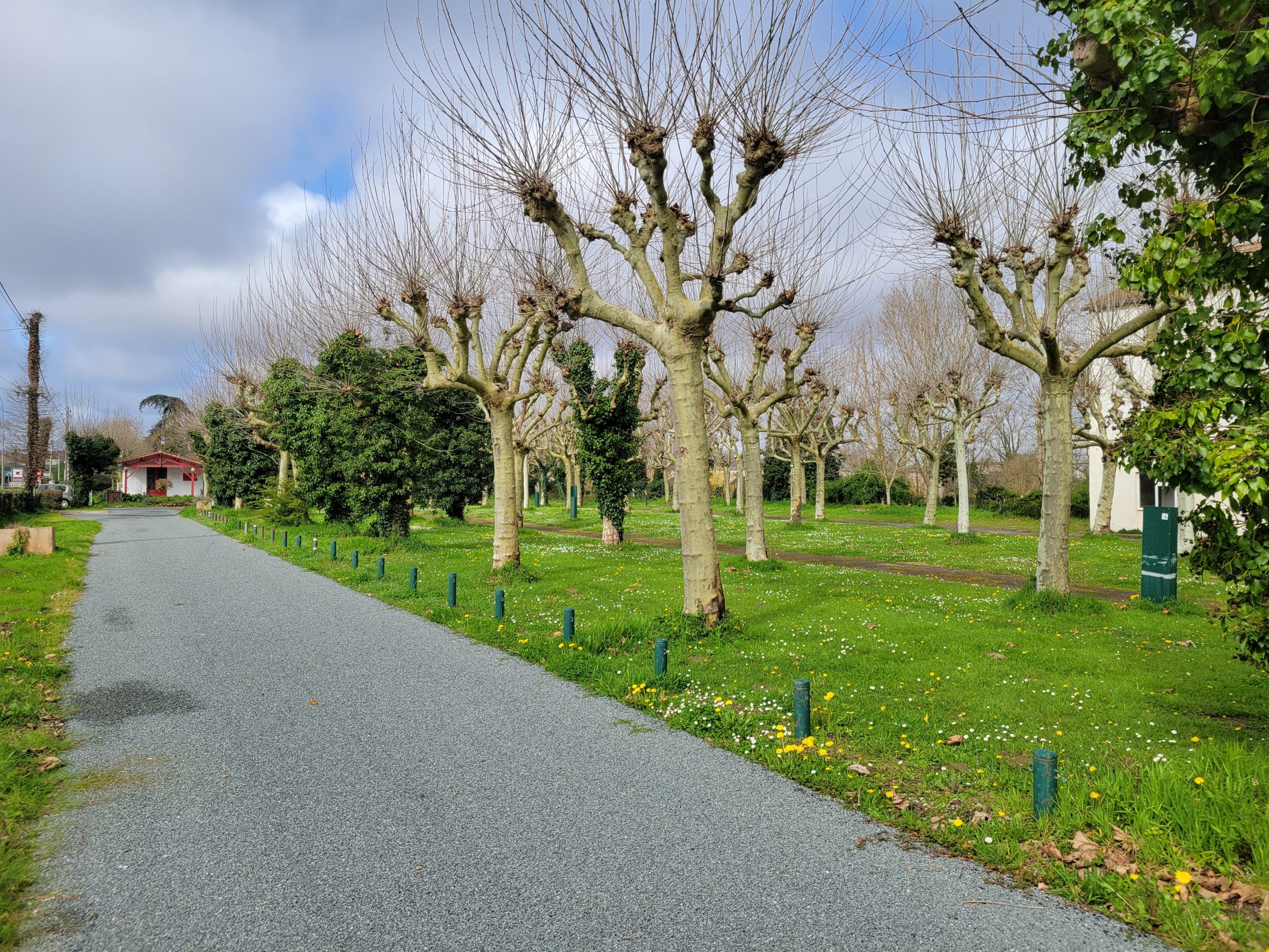 Aire de camping-car municipale du Vieux moulin - photo 3