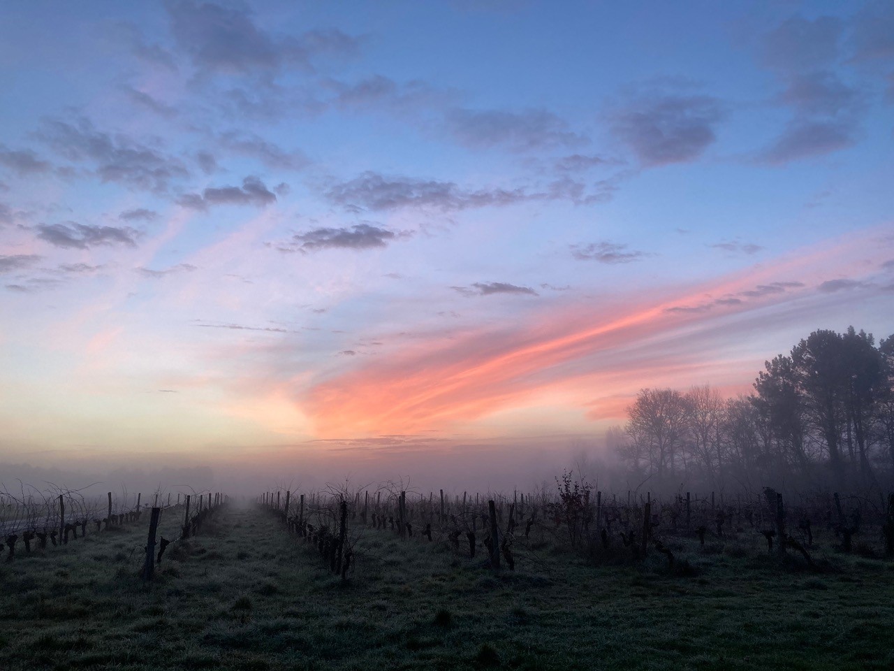 Gîte Château Batsères, Landiras - photo 3