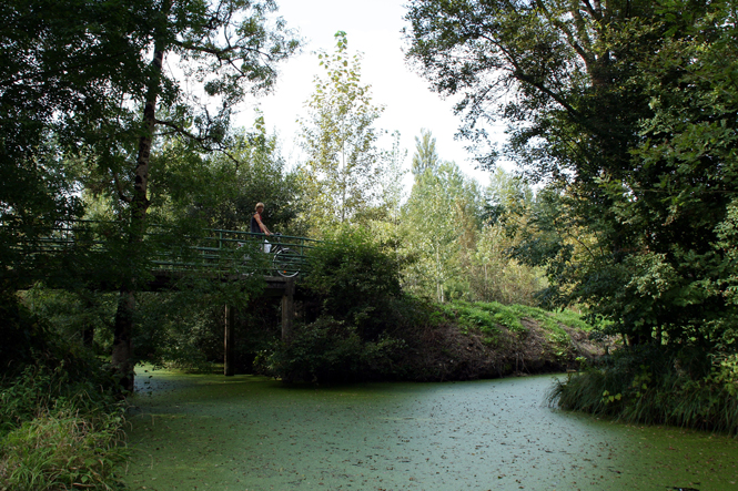 Embarcadère "Au Martin Pêcheur", Arçais - photo 5
