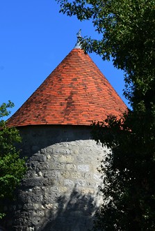 Saint-Caprais-de-Lerm, un circuit nature, Saint-Caprais-de-Lerm - photo 5