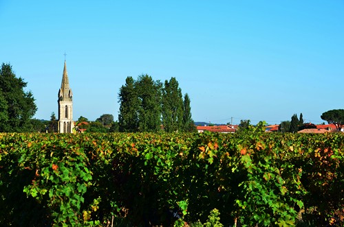 Buzet-sur-Baïse, randonnée autour du Château, Buzet-sur-Baïse - photo 3