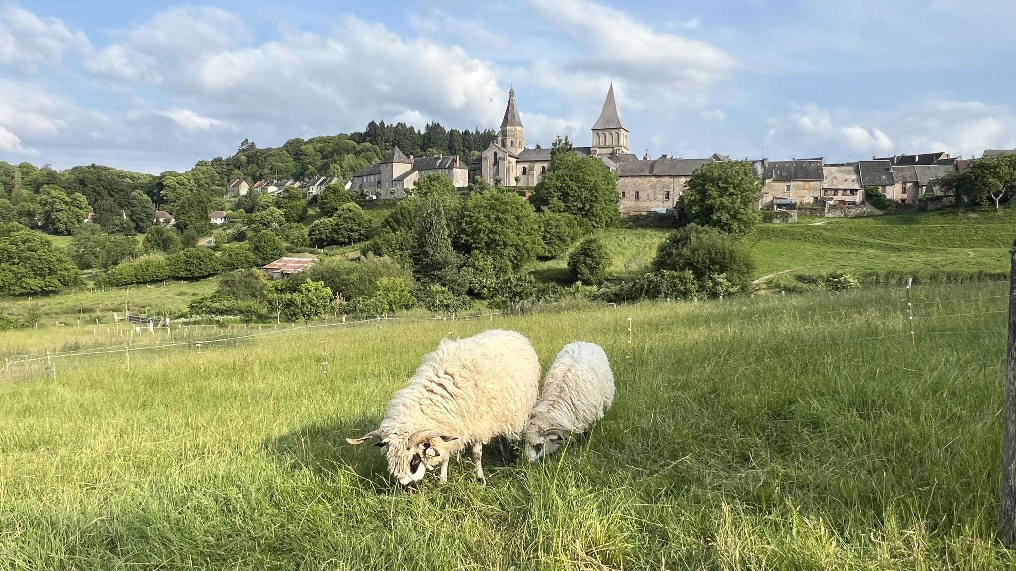 Circuit Pédestre n° B5 De Sauzet à La Toueille - photo 2