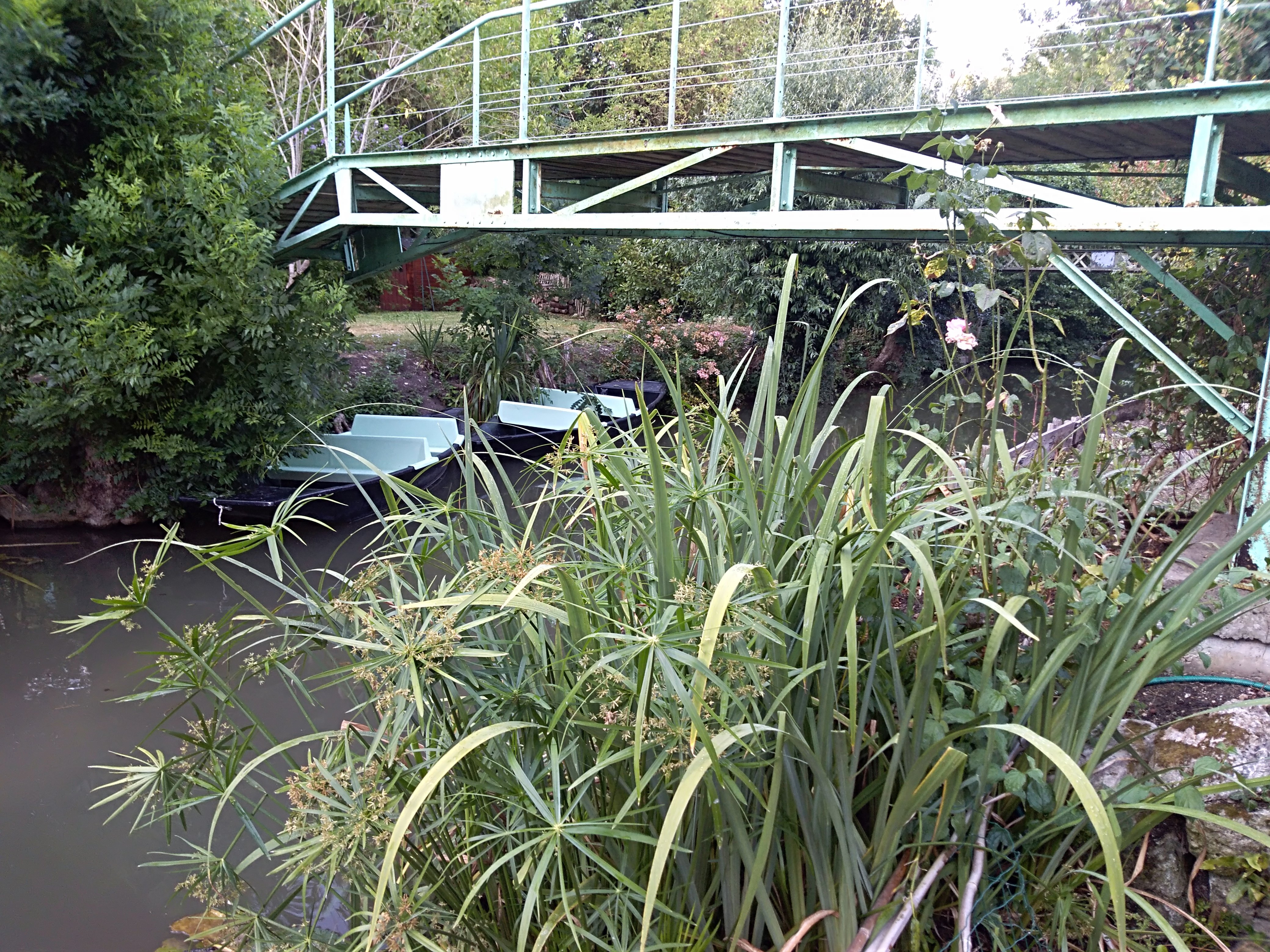 Le Trèfle d'eau (n° 9500), Sansais - photo 14