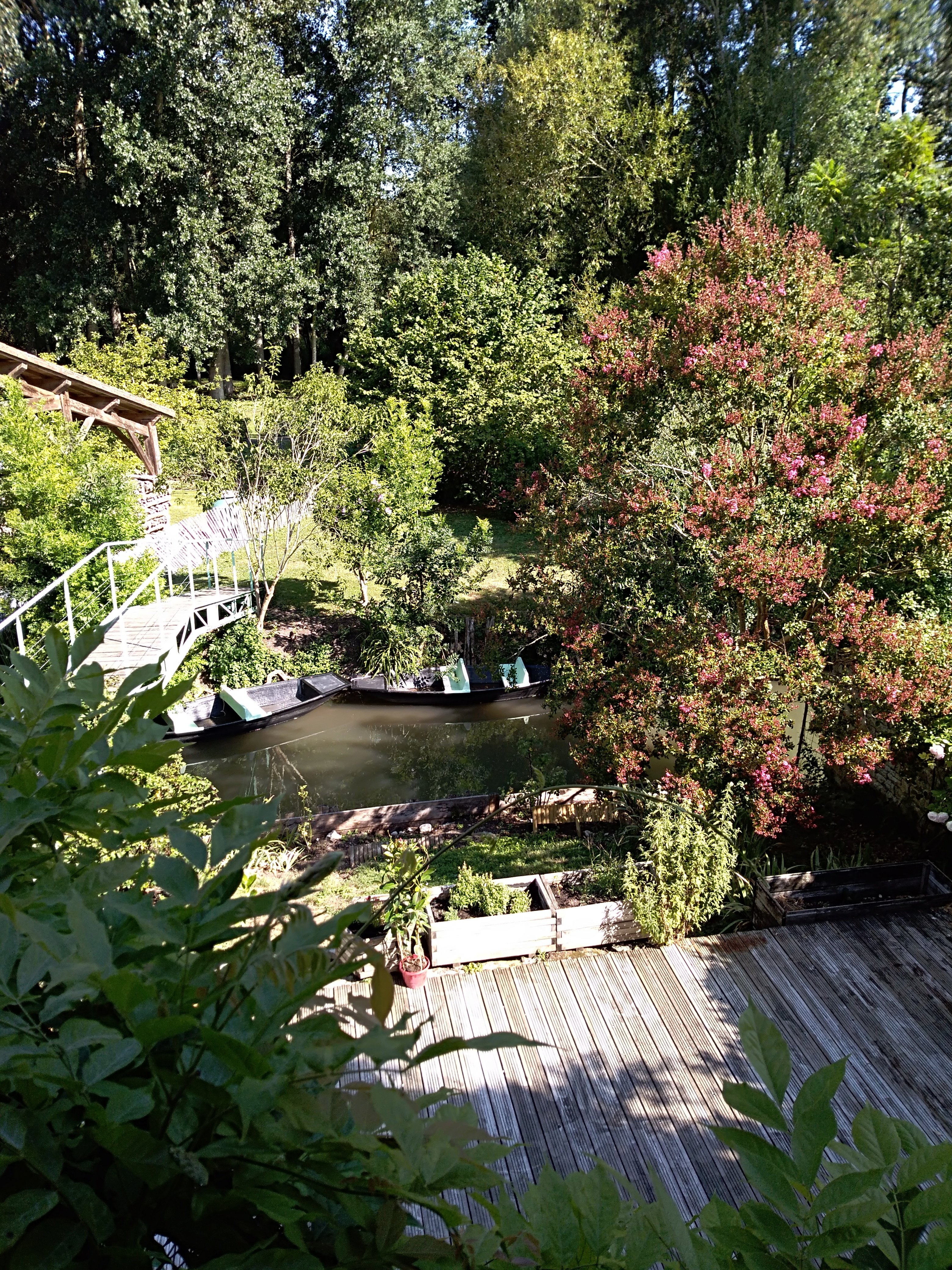 Le Trèfle d'eau (n° 9500), Sansais - photo 13