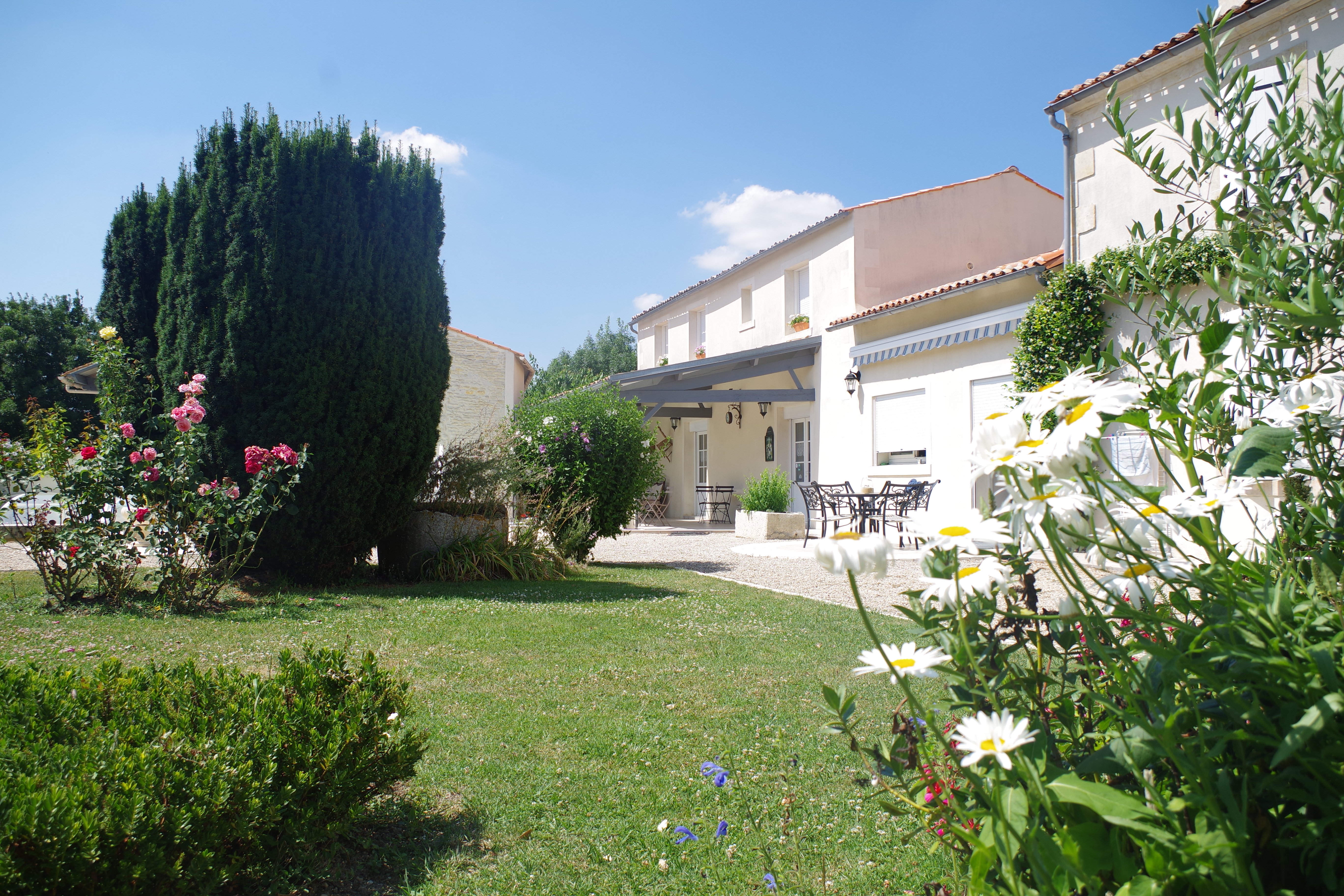 Les Lavandières (n° 5470), Saint-Hilaire-la-Palud - photo 13