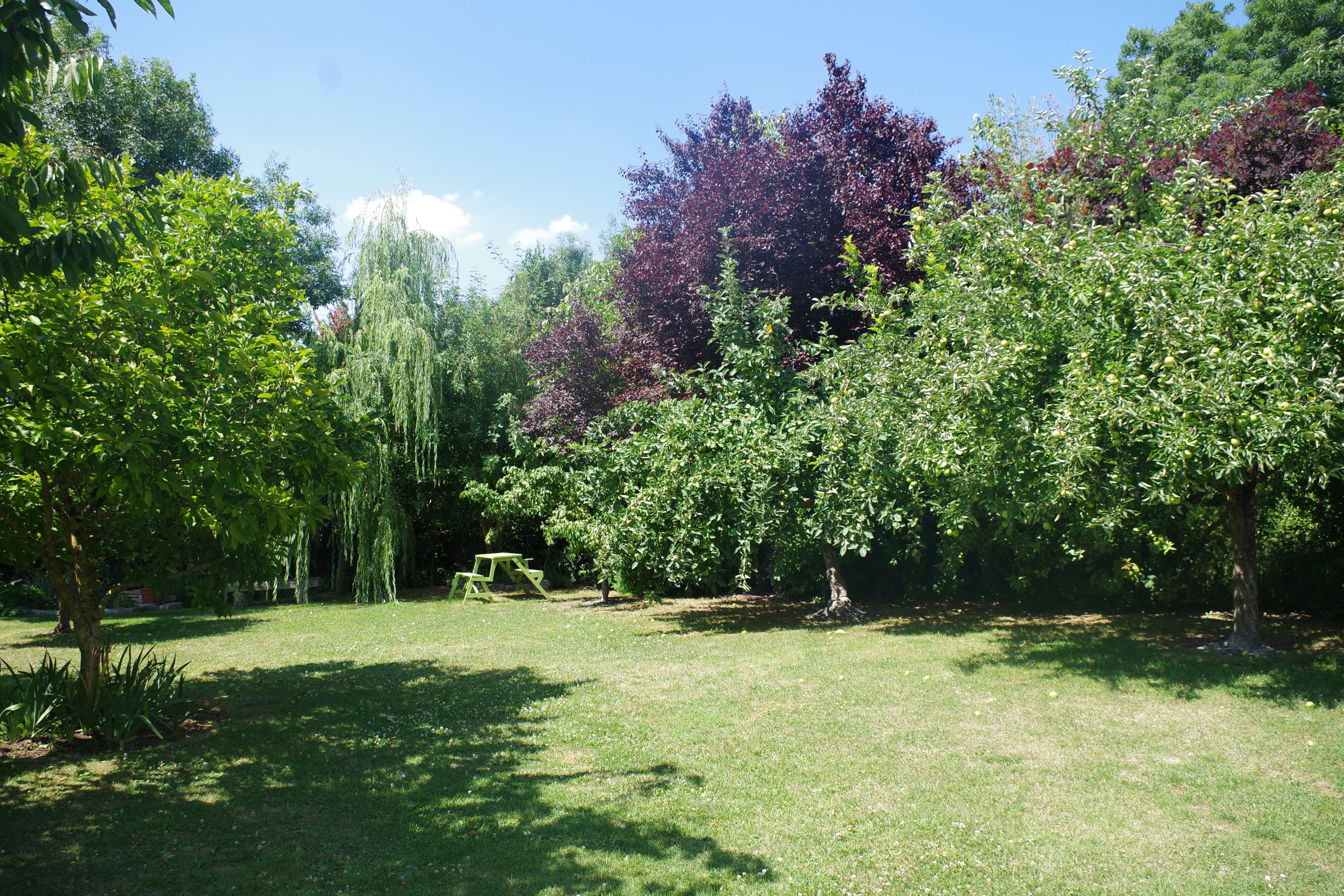 Les Lavandières (n° 5470), Saint-Hilaire-la-Palud - photo 2