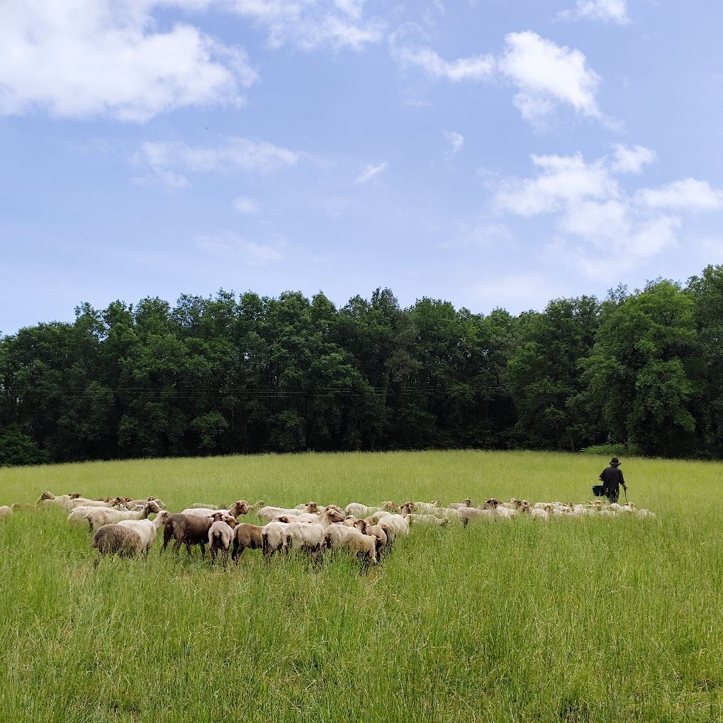 Ferme de Charmonteil