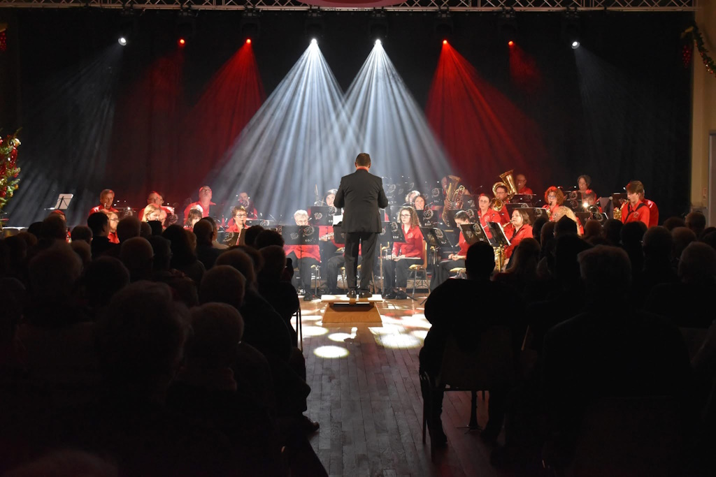 Concert avec l'Ensemble Orchestral du Palais