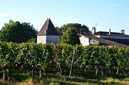 Buzet-sur-Baïse, randonnée autour du Château, Buzet-sur-Baïse - photo 9