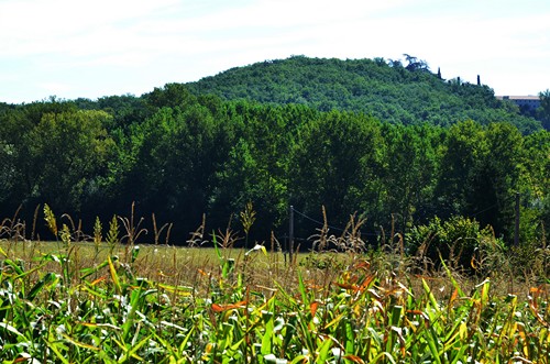 Saint-Caprais-de-Lerm, un circuit nature, Saint-Caprais-de-Lerm - photo 6