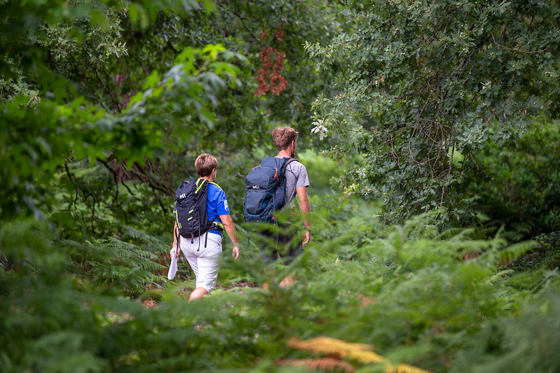 Balade à roulettes : La forêt du Bourgailh
