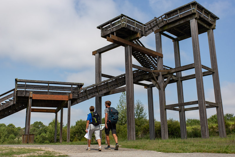 Balade à roulettes : La forêt du Bourgailh, Pessac - photo 2