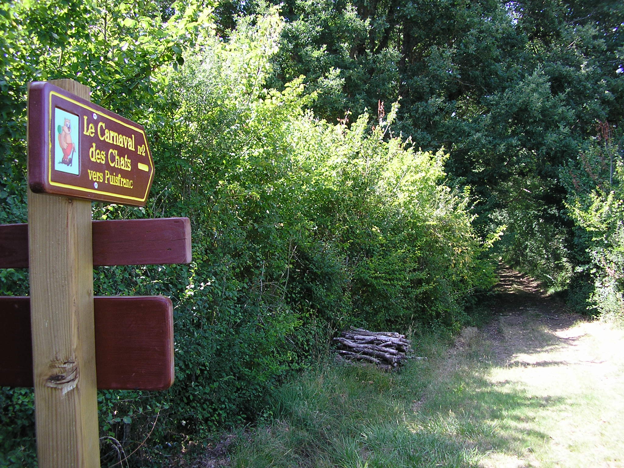 Le Carnaval des Chats - Boucle 10