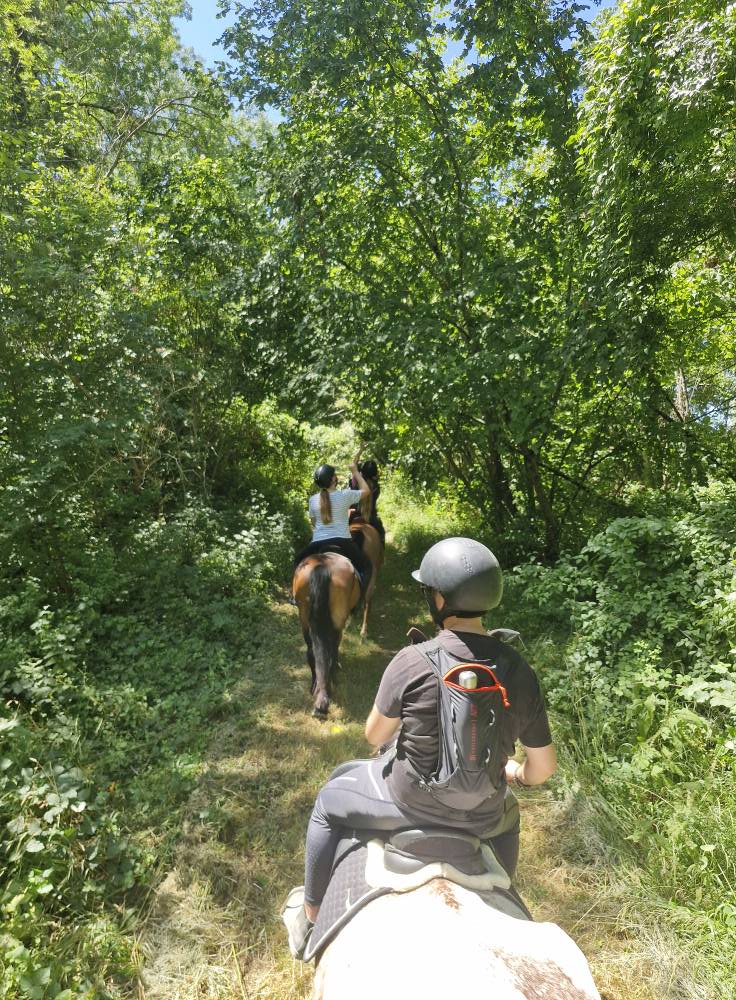 L'écurie savignoise, Savigny-sous-Faye